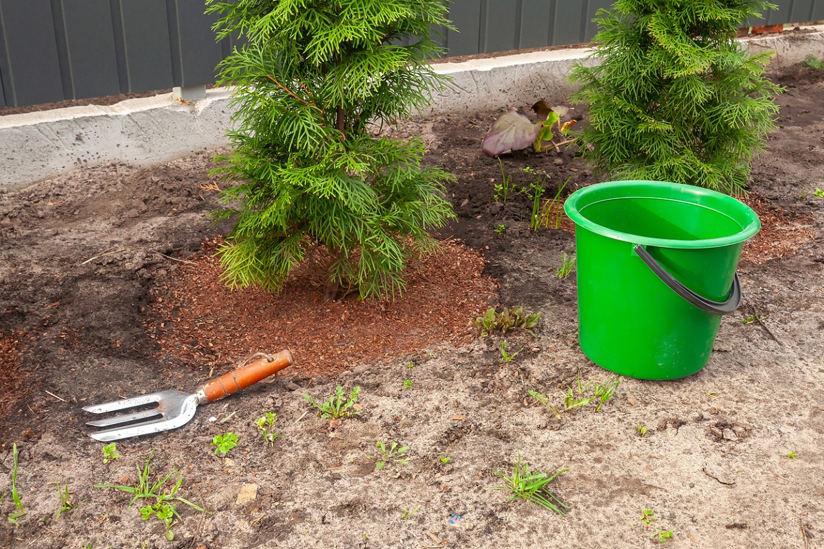 tuje hnednú alebo žltnú